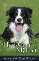 A kutya a lábamnál: Történetek a szeretett kutyákról - The Dog at My Feet: Stories of the Dogs We Love