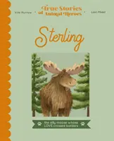 Sterling - A szerelmes jávorszarvas, akinek szíve van a tehenekért - Sterling - The lovestruck moose with a heart for cows