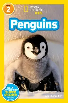 National Geographic Readers: Pingvinek! - National Geographic Readers: Penguins!