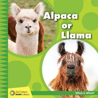 Alpaka vagy láma - Alpaca or Llama