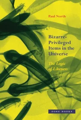 Bizarr-privilégiumok a világegyetemben: A hasonlóság logikája - Bizarre-Privileged Items in the Universe: The Logic of Likeness