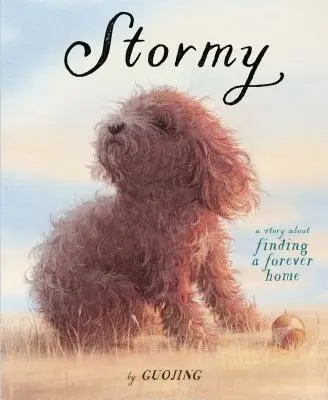 Viharos: Történet az örök otthon megtalálásáról - Stormy: A Story about Finding a Forever Home