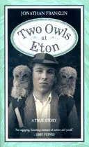 Két bagoly Etonban - Two Owls at Eton