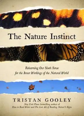 A természet ösztöne: A természeti világ belső működésének elveszett megérzésének újratanulása - The Nature Instinct: Relearning Our Lost Intuition for the Inner Workings of the Natural World