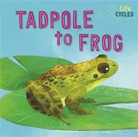 Életciklusok: Az ebihaltól a békáig - Life Cycles: From Tadpole to Frog