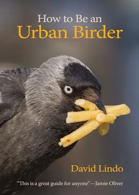 Hogyan legyünk városi madarász - How to Be an Urban Birder