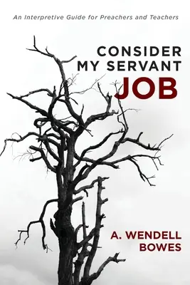 Tekintsd a szolgai munkámat! Értelmező útmutató prédikátorok és tanárok számára - Consider My Servant Job: An Interpretive Guide for Preachers and Teachers