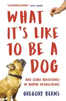 Milyen érzés kutyának lenni - és más kalandok az állati idegtudományban - What It's Like to Be a Dog - And Other Adventures in Animal Neuroscience