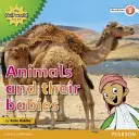 Az Öböl-világom és én 2. szintű non-fiction reader: Állatok és kicsinyeik - My Gulf World and Me Level 2 non-fiction reader: Animals and their babies