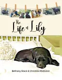 Lily élete - The Life of Lily