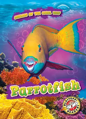 Papagájhal - Parrotfish