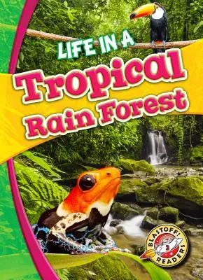 Élet a trópusi esőerdőben - Life in a Tropical Rain Forest