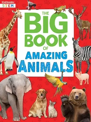 Csodálatos állatok nagy könyve - Big Book of Amazing Animals