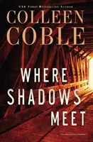 Where Shadows Meet: A Romantic Suspense Novel (Ahol az árnyak találkoznak: Romantikus feszültséggel teli regény) - Where Shadows Meet: A Romantic Suspense Novel