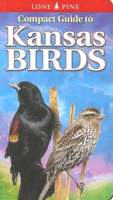 Kompakt útmutató Kansas madaraihoz - Compact Guide to Kansas Birds