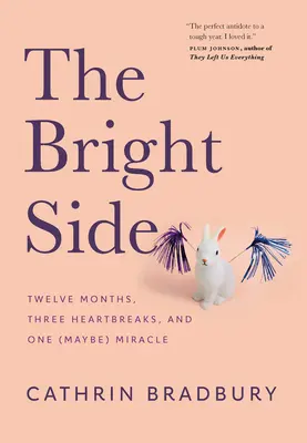 The Bright Side: Tizenkét hónap, három szívfájdalom és egy (talán) csoda - The Bright Side: Twelve Months, Three Heartbreaks, and One (Maybe) Miracle