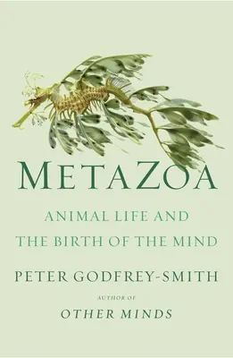 Metazoa: Az állati élet és az elme születése - Metazoa: Animal Life and the Birth of the Mind