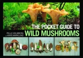 A vadon élő gombák zsebkalauza: Hasznos tippek a terepi gombászáshoz - The Pocket Guide to Wild Mushrooms: Helpful Tips for Mushrooming in the Field