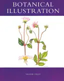 Botanikai illusztráció - Botanical Illustration
