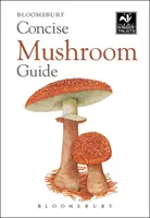 Tömör gombakalauz - Concise Mushroom Guide