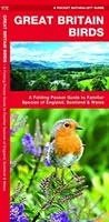 Nagy-Britannia madarai, 2. kiadás - A Folding Pocket Guide to Familiar Species of England, Scotland & Wales (Összehajtható zsebkönyv az Anglia, Skócia és Wales ismerős fajairól) - Great Britain Birds, 2nd Edition - A Folding Pocket Guide to Familiar Species of England, Scotland & Wales