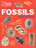 Fossziliák matricás könyv - Fossils Sticker Book