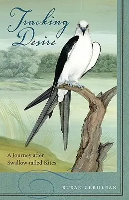 A vágy nyomában: Utazás a fecskefarkú sárkányok után - Tracking Desire: A Journey After Swallow-Tailed Kites