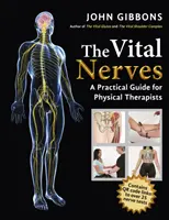 Vital idegek - Gyakorlati útmutató fizikoterapeuták számára - Vital Nerves - A Practical Guide for Physical Therapists