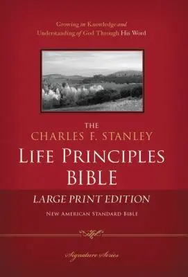 Charles F. Stanley Életelvek Biblia-NASB-Nagy nyomtatott változat - Charles F. Stanley Life Principles Bible-NASB-Large Print