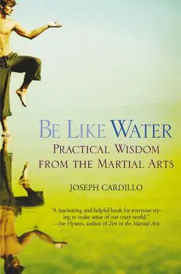 Légy olyan, mint a víz: Gyakorlati bölcsesség a harcművészetekből - Be Like Water: Practical Wisdom from the Martial Arts