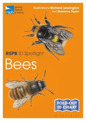 Rspb Id Spotlight - Méhek - Rspb Id Spotlight - Bees