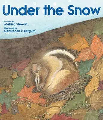 A hó alatt - Under the Snow