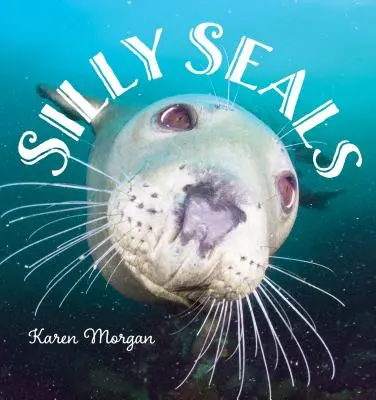 Buta fókák - Silly Seals