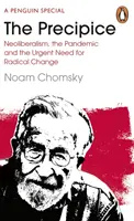 Szakadék - A neoliberalizmus, a járvány és a radikális változás sürgős szükségessége - Precipice - Neoliberalism, the Pandemic and the Urgent Need for Radical Change