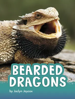 Szakállas sárkányok - Bearded Dragons