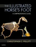 Az illusztrált lóláb: Átfogó útmutató - The Illustrated Horse's Foot: A Comprehensive Guide