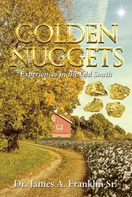 Aranyrögök: Tapasztalatok a régi délen - Golden Nuggets: Experiences in the Old South