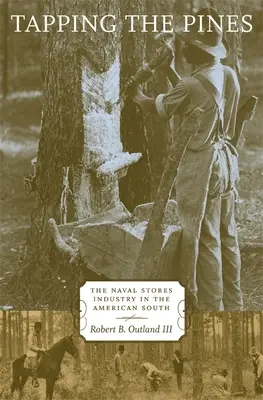 Tapping the Pines: A haditengerészeti raktárak ipara az amerikai délen - Tapping the Pines: The Naval Stores Industry in the American South