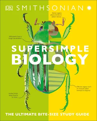 Szuperegyszerű biológia: The Ultimate Bitesize Study Guide - Super Simple Biology: The Ultimate Bitesize Study Guide