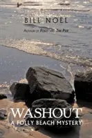 Washout: A Folly Beach Mystery