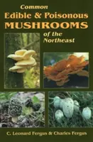 Északkelet közös ehető és mérgező gombái - Common Edible & Poisonous Mushrooms of the Northeast