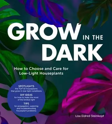 Grow in the Dark: Hogyan válasszuk ki és gondozzuk a gyenge fényviszonyok között élő szobanövényeket? - Grow in the Dark: How to Choose and Care for Low-Light Houseplants