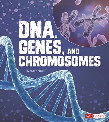 Dna, gének és kromoszómák - Dna, Genes, and Chromosomes