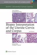 A méhnyak és a méhszáj biopsziás értelmezése - Biopsy Interpretation of the Uterine Cervix and Corpus