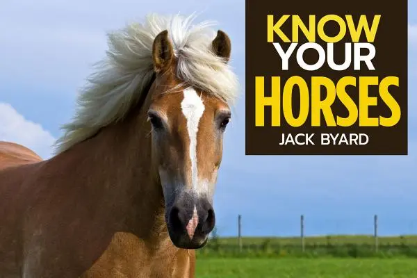 Ismerd meg a lovakat - Know Your Horses