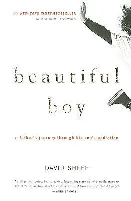 Beautiful Boy: Egy apa útja fia függőségén keresztül - Beautiful Boy: A Father's Journey Through His Son's Addiction