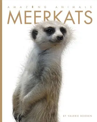 Csodálatos állatok: Meerkats - Amazing Animals: Meerkats