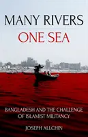 Sok folyó, egy tenger: Banglades és az iszlamista militancia kihívása - Many Rivers, One Sea: Bangladesh and the Challenge of Islamist Militancy