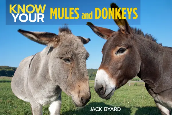 Ismerd meg a szamarakat és öszvéreket - Know Your Donkeys & Mules