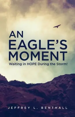 Egy sas pillanat: Reményben várakozás a viharban! - An Eagle's Moment: Waiting in HOPE During the Storm!